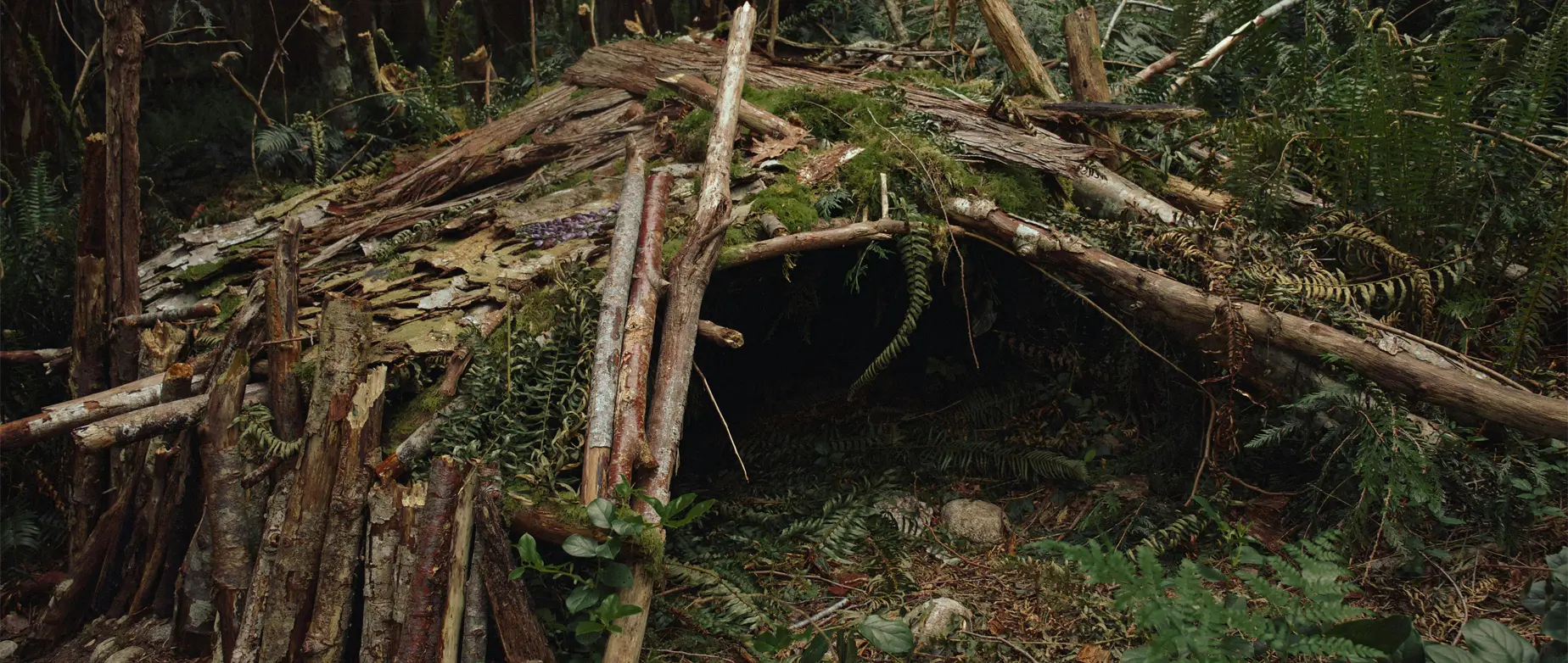 Building a Survival Shelter